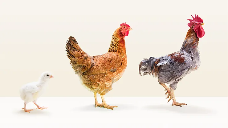 To Retain Your Best Employees, Invest in Your Best Managers